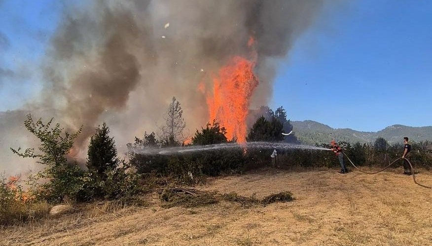 bursada orman yangini mudahale suruyor f1Mri8Ut