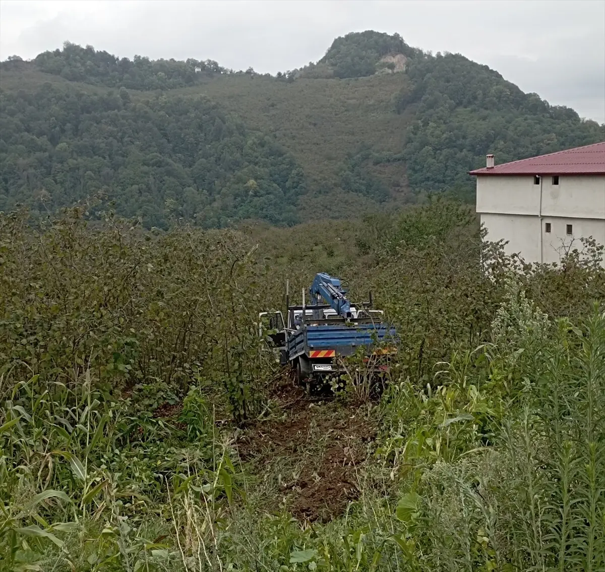 findik bahcesine yuvarlanan kamyonet 3 yarali TzHd9Gv9