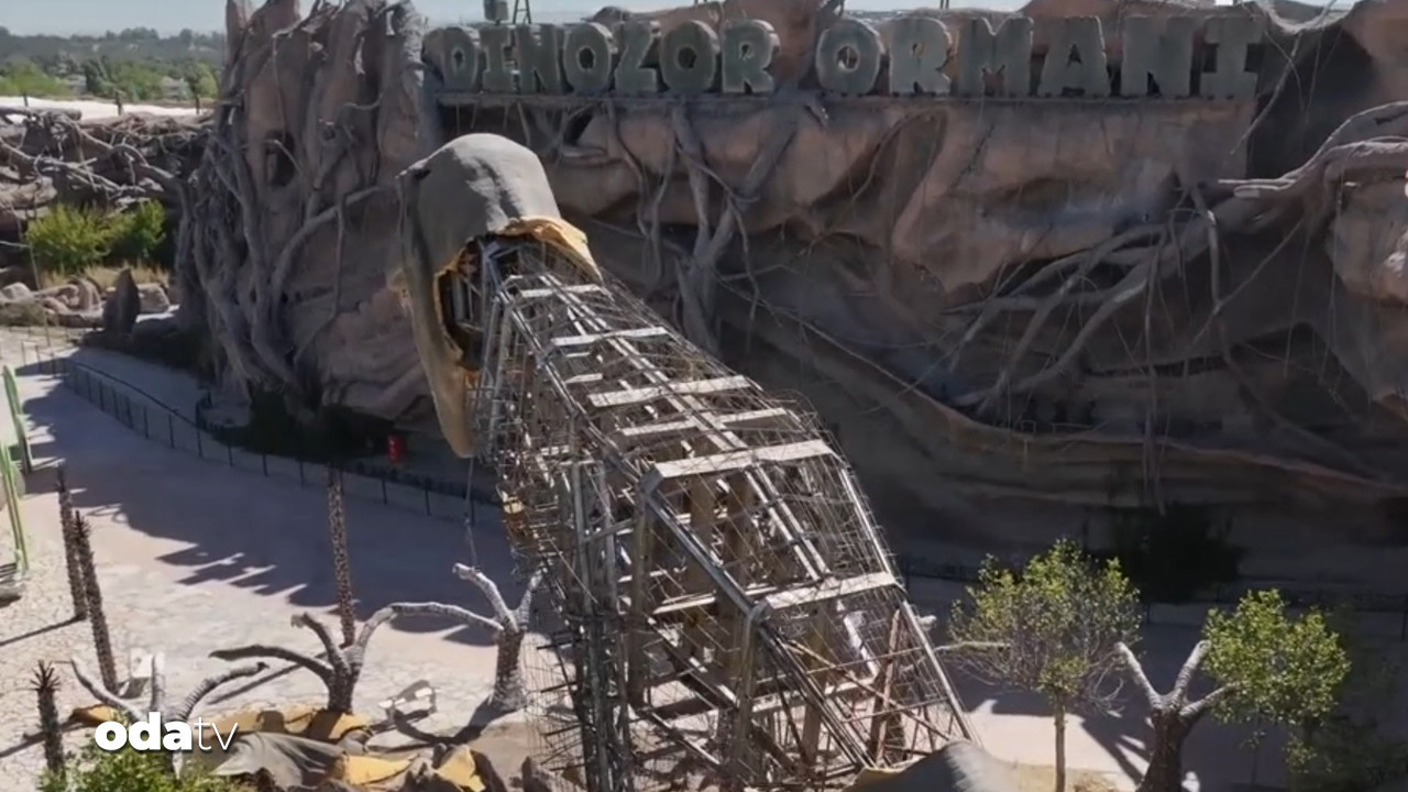 gokcekin milyarlik dinozorlari curudu LMhAhHZf