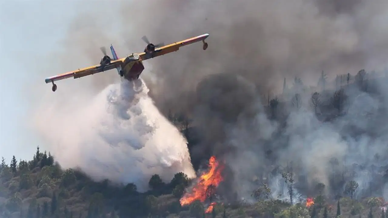 greenpeaceten hukumete tesvik elestirisi o rakamlarla 650 yangin sondurme ucagi alinabilirdi W8LNjs26