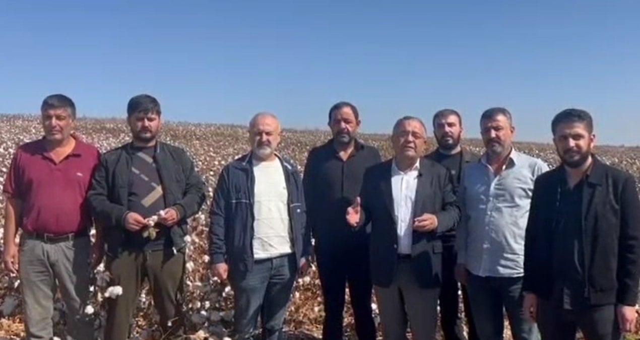 chpli tanrikulu destek verilmezse pamuk uretimi sifira dusecek gsn3duNf.jpg