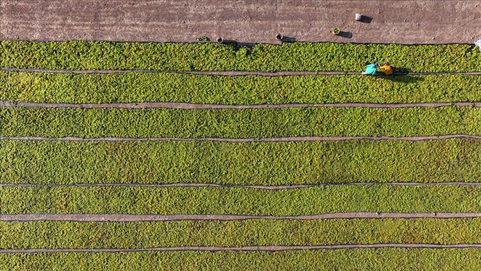 ciftcilere destekleme odemesi bugun yapilacak kR3FBvD8