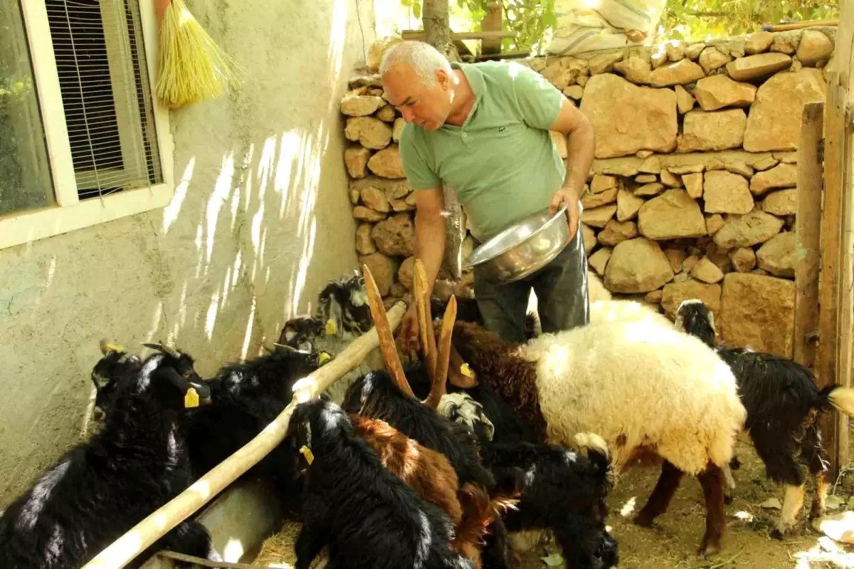 eski hukumlu tahir keskin is kur destegiyle 200 keci surusune ulasti Ks3cfcQO.jpg