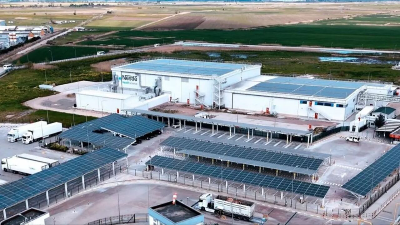 kuresel isten cikarma dalgasi nestleyi de vurdu lzE44nmA.webp