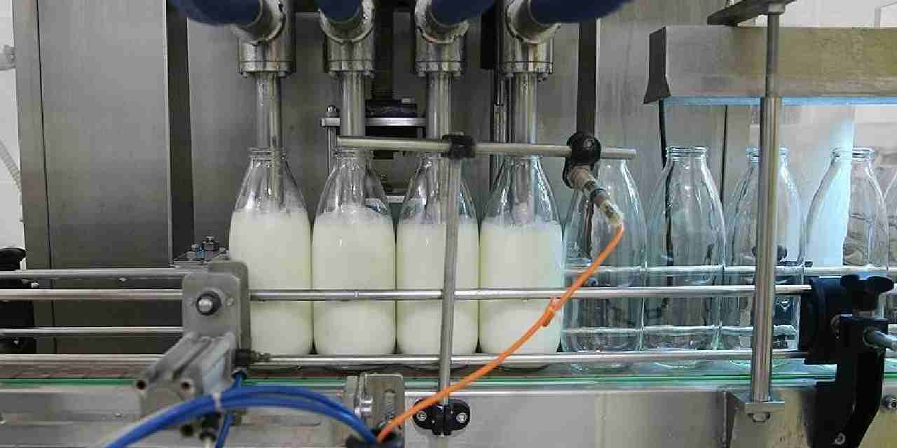 toplanan inek sutu miktari agustosta dustu F13dpLXe.jpg