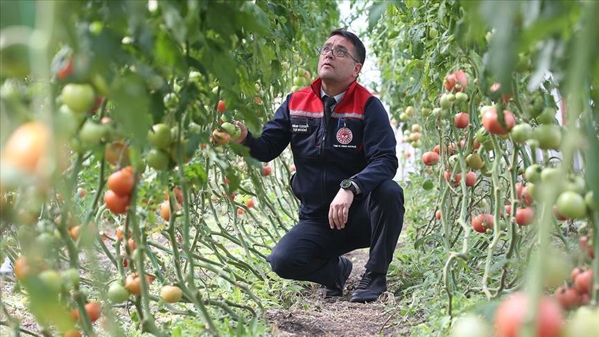 ziraat muhendislerinin olusturdugu sera vatandaslara ilham oldu D2keGaUn