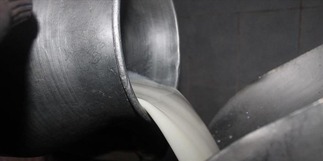 cig inek sutunun yag degerlerinde degisiklik yapildi hKwuyzhq.jpg