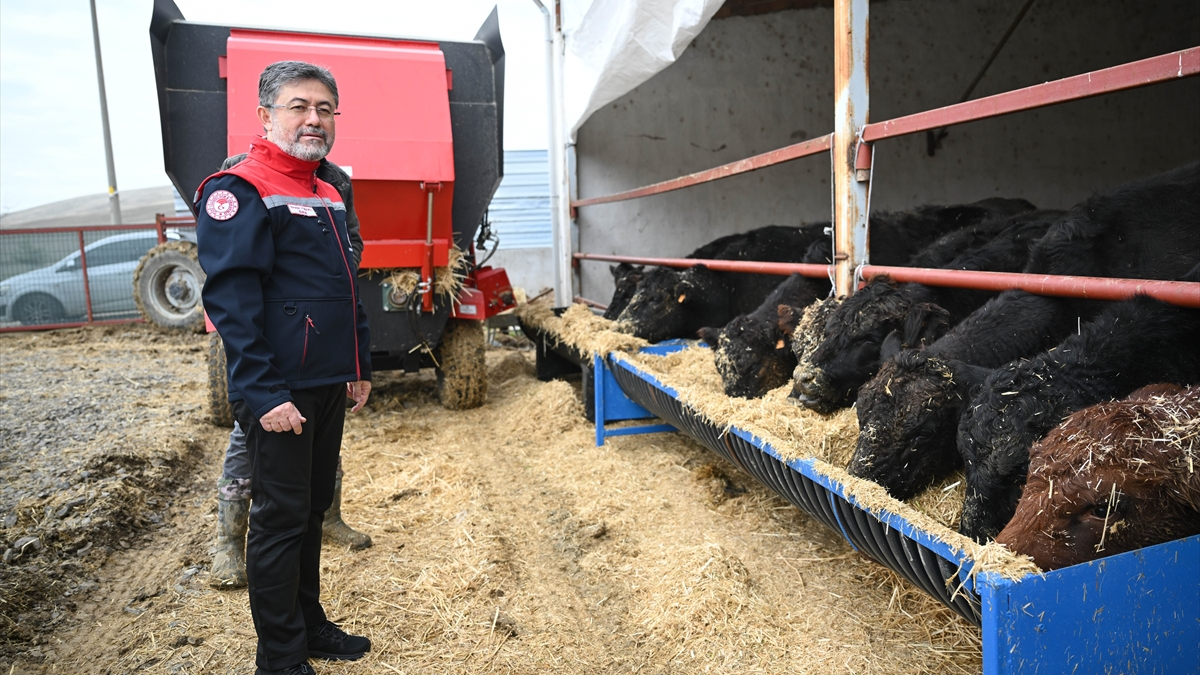 Hayvancılık sektöründen ortak açıklama: Desteklemeler devam etmeli