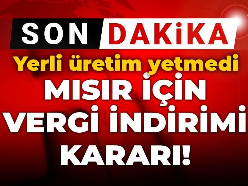 Mısır İthalatında Vergi İndirimi Uygulaması Başladı