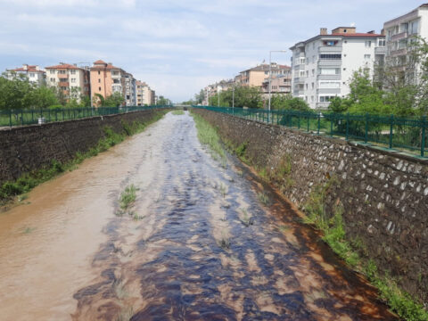 Kastamonu’da Kimyasal Atık Alarmı: Kuz Deresi’nde Kirlilik