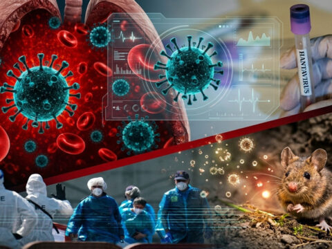 Hantavirüs Salgını: Kanada’da Bir Kişide Daha Pozitif Test Sonucu